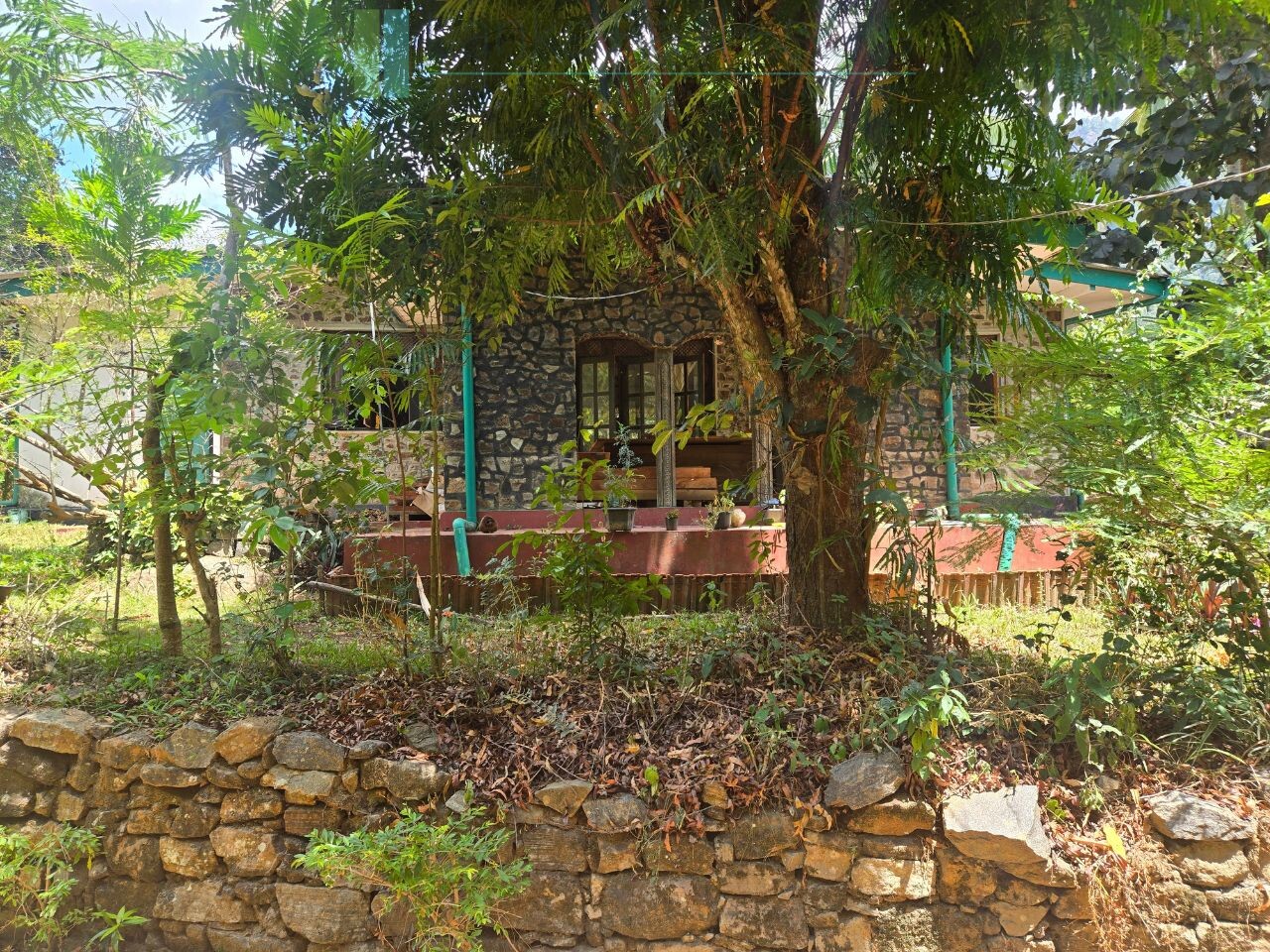 Established mixed estate at Nikapota near Beragala