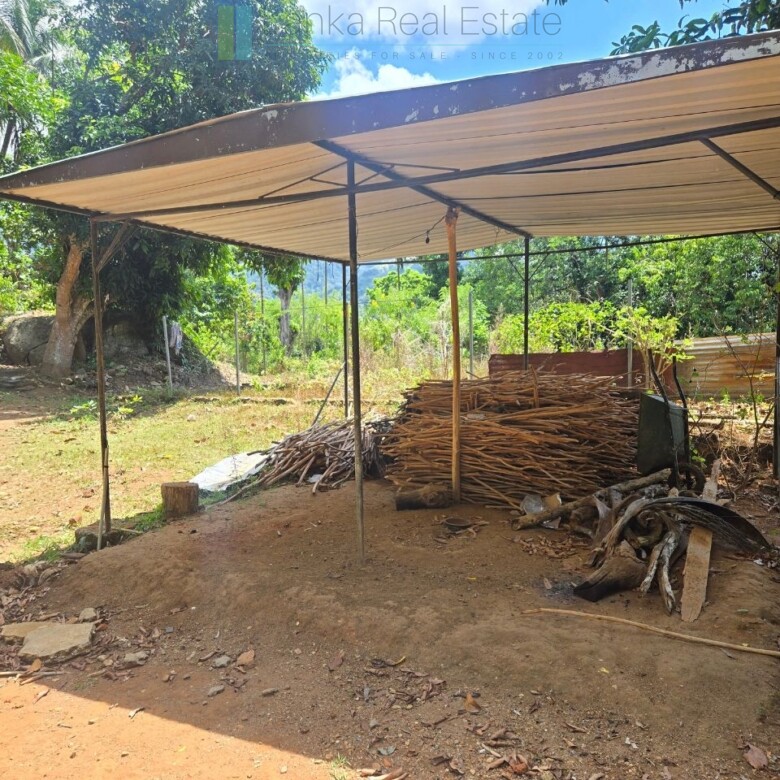 Established mixed estate at Nikapota near Beragala