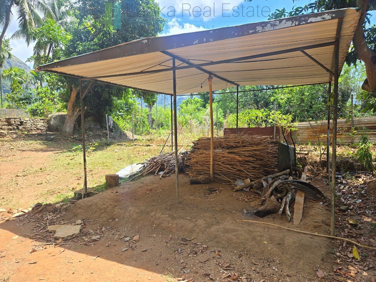Established mixed estate at Nikapota near Beragala