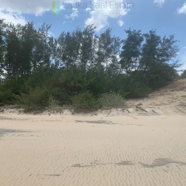 Large beachfront near Pottuvil with direct surf break access