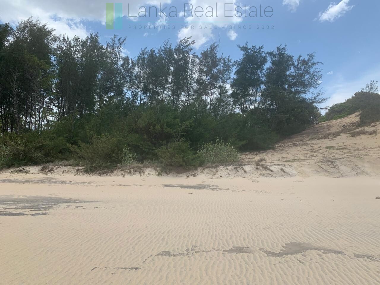 Large beachfront near Pottuvil with direct surf break access