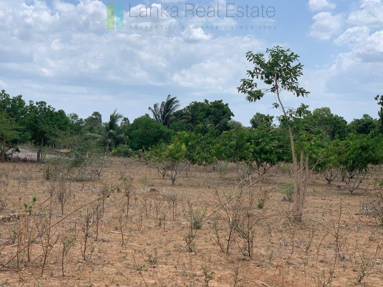 Large beachfront near Pottuvil with direct surf break access