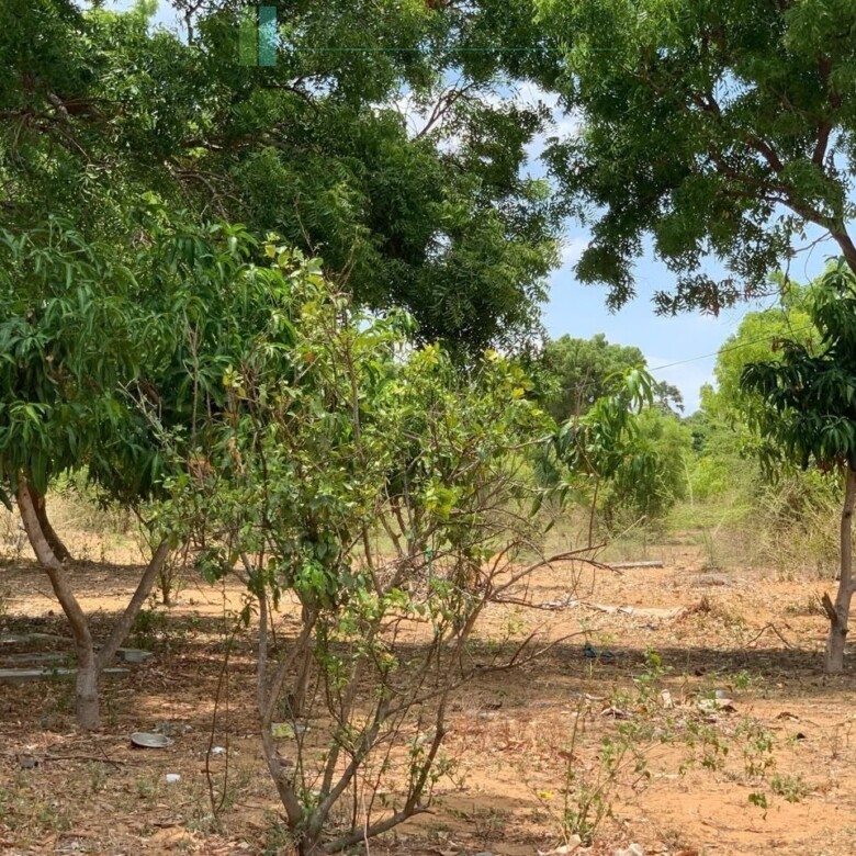 Large beachfront near Pottuvil with direct surf break access