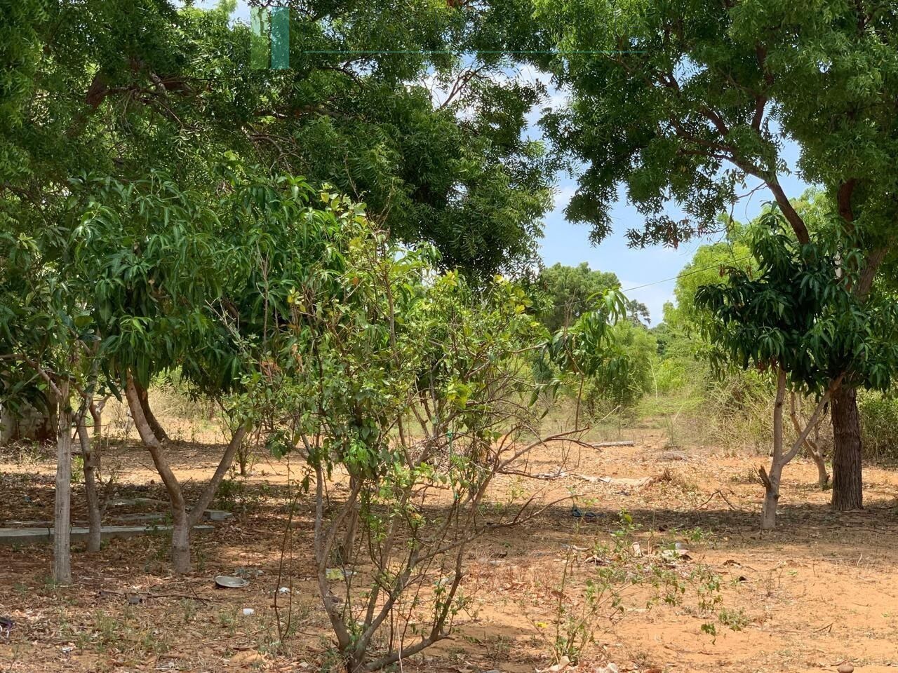 Large beachfront near Pottuvil with direct surf break access