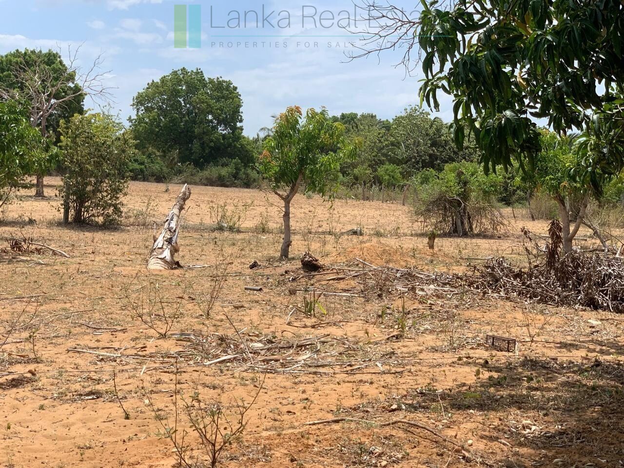 Large beachfront near Pottuvil with direct surf break access