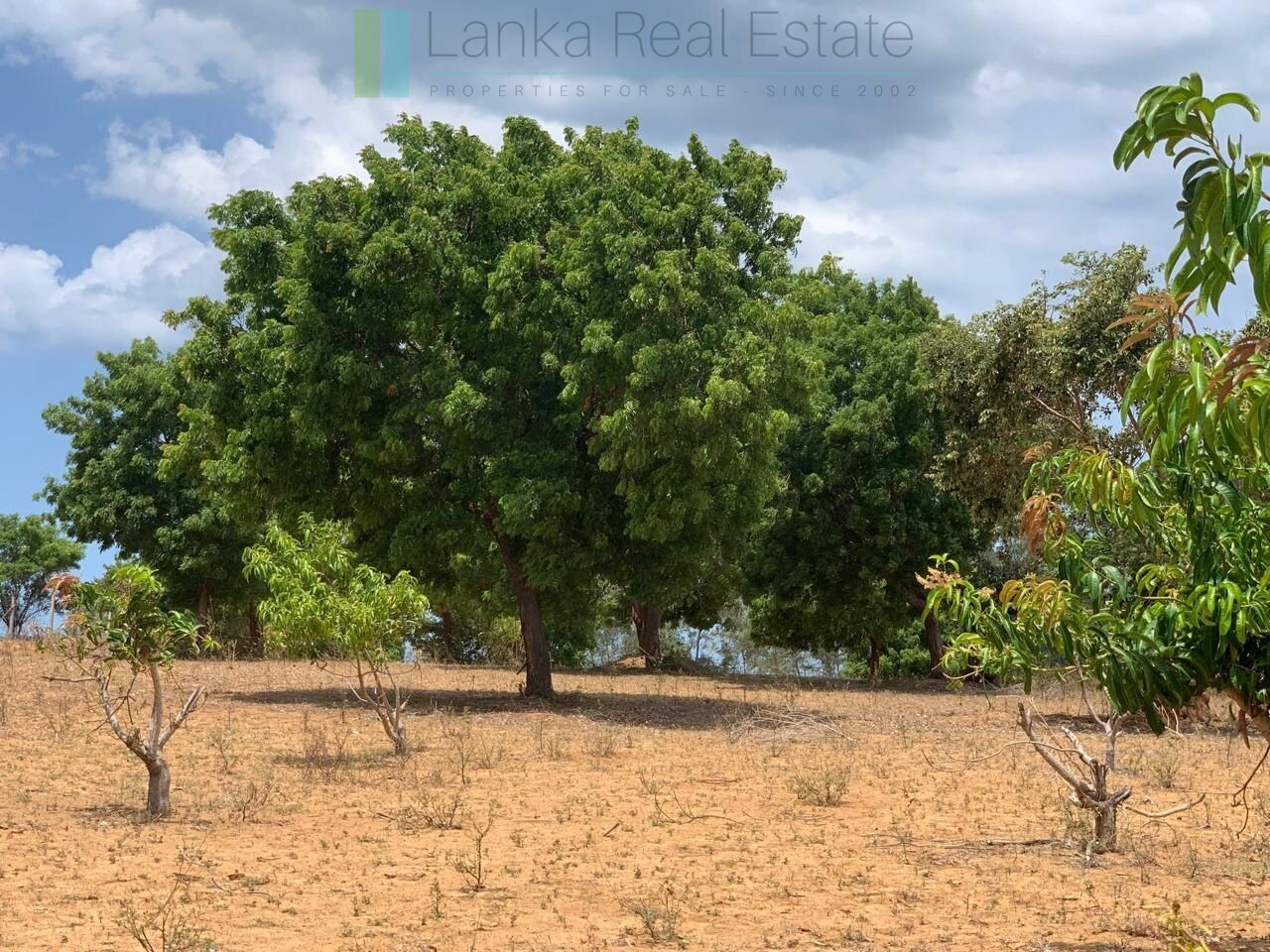 Large beachfront near Pottuvil with direct surf break access
