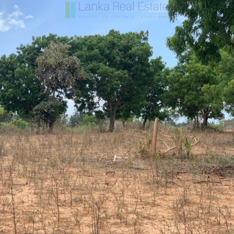 Large beachfront near Pottuvil with direct surf break access