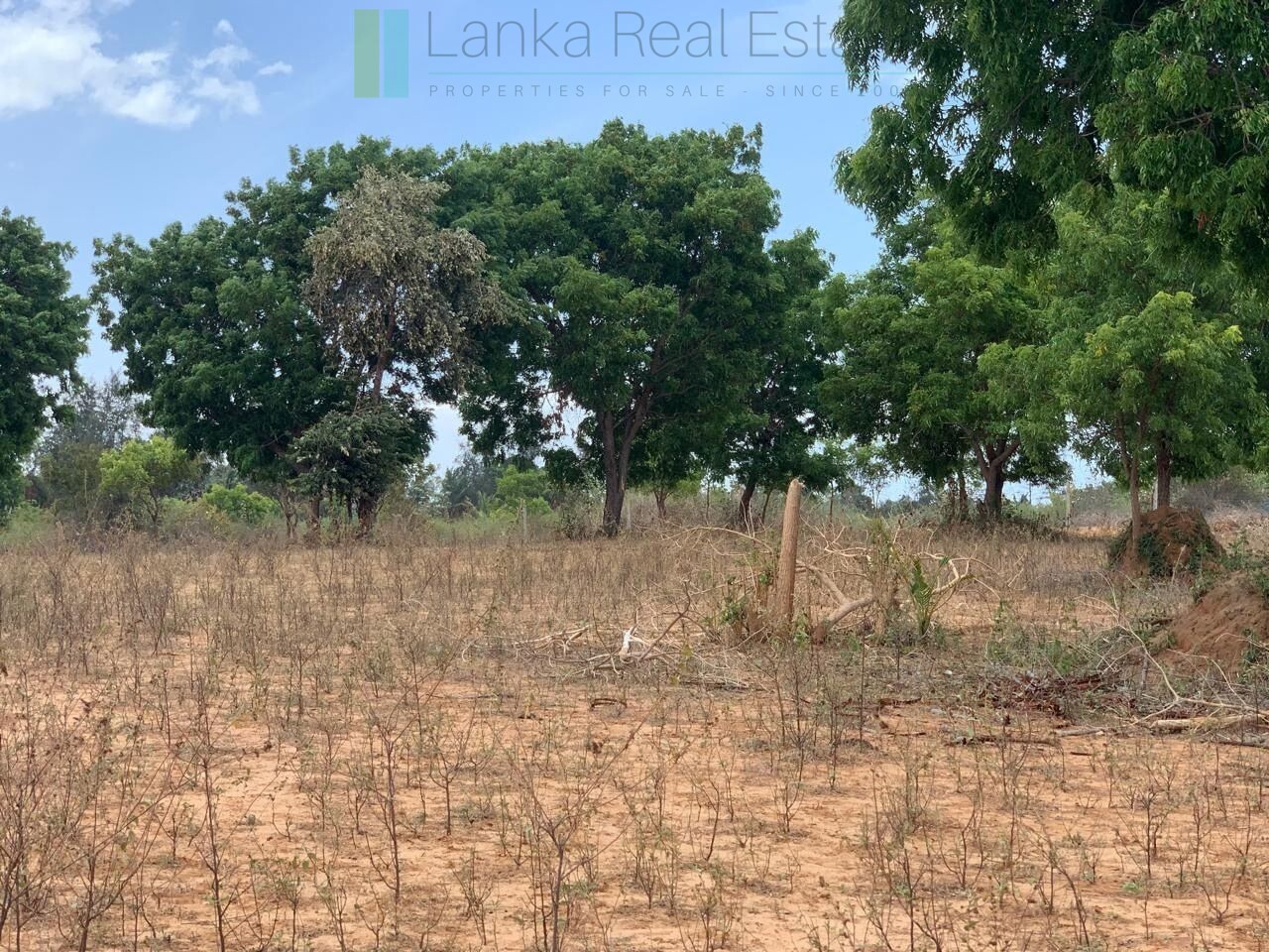 Large beachfront near Pottuvil with direct surf break access