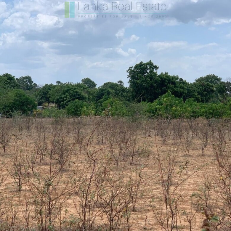 Large beachfront near Pottuvil with direct surf break access