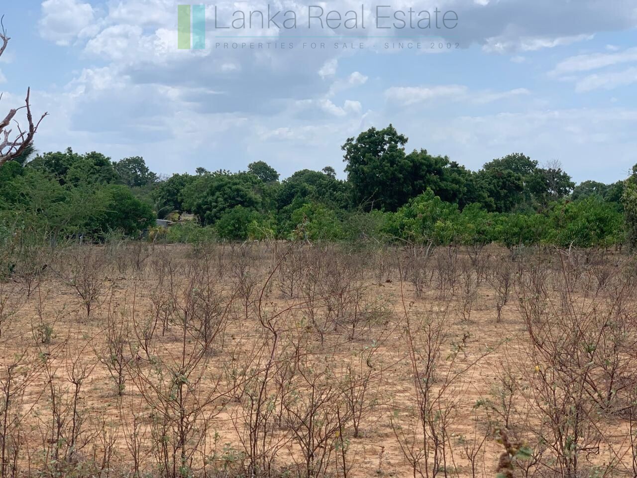 Large beachfront near Pottuvil with direct surf break access