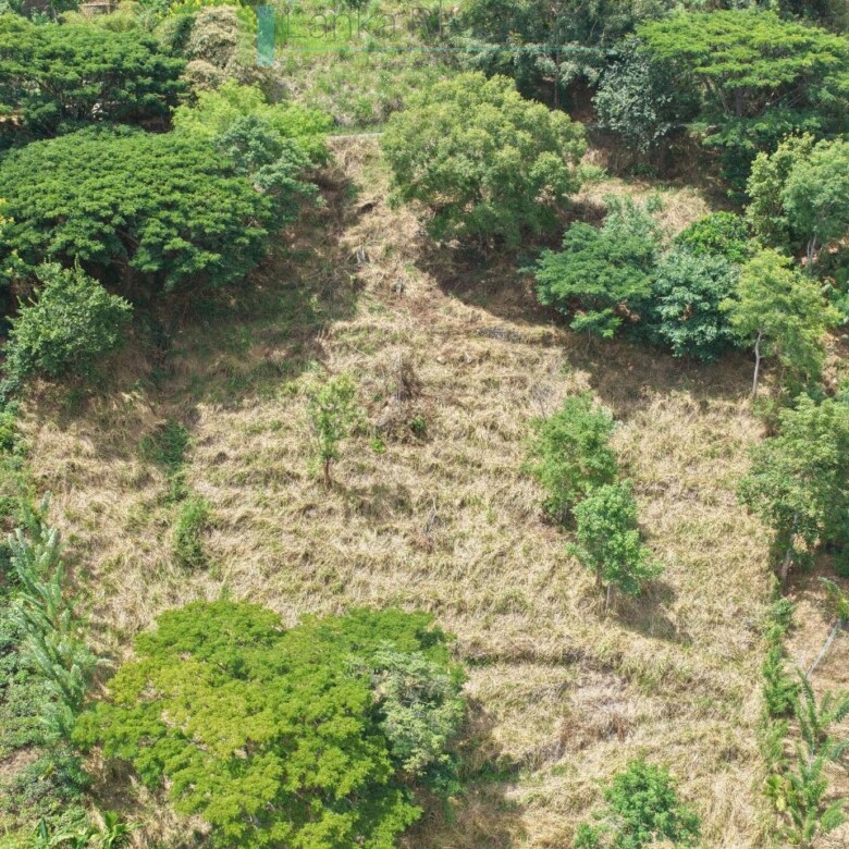 Hillside development plot with views near Beragala