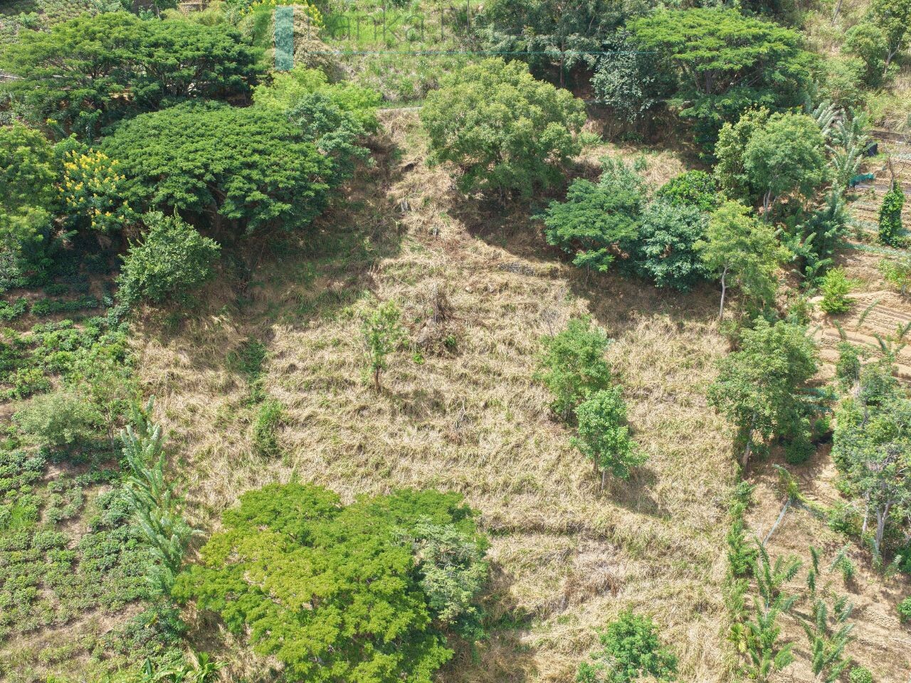 Hillside development plot with views near Beragala