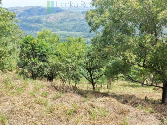 Hillside development plot with views near Beragala