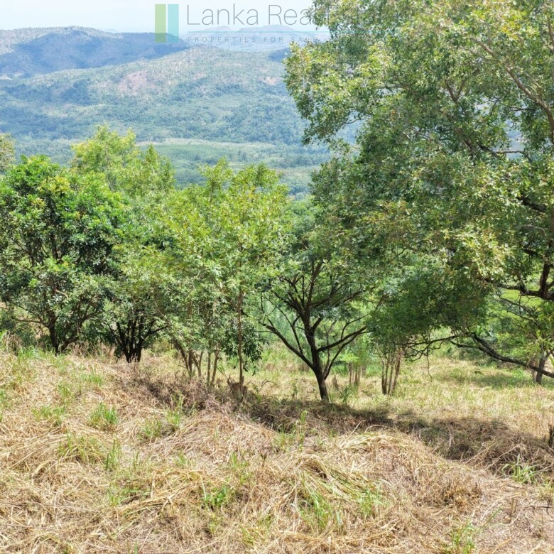 Hillside development plot with views near Beragala