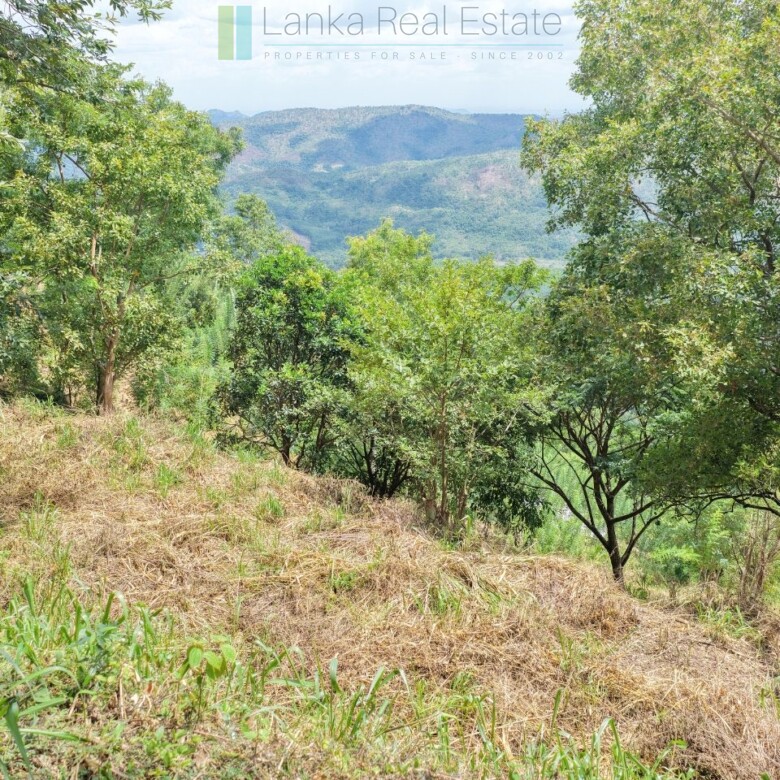 Hillside development plot with views near Beragala