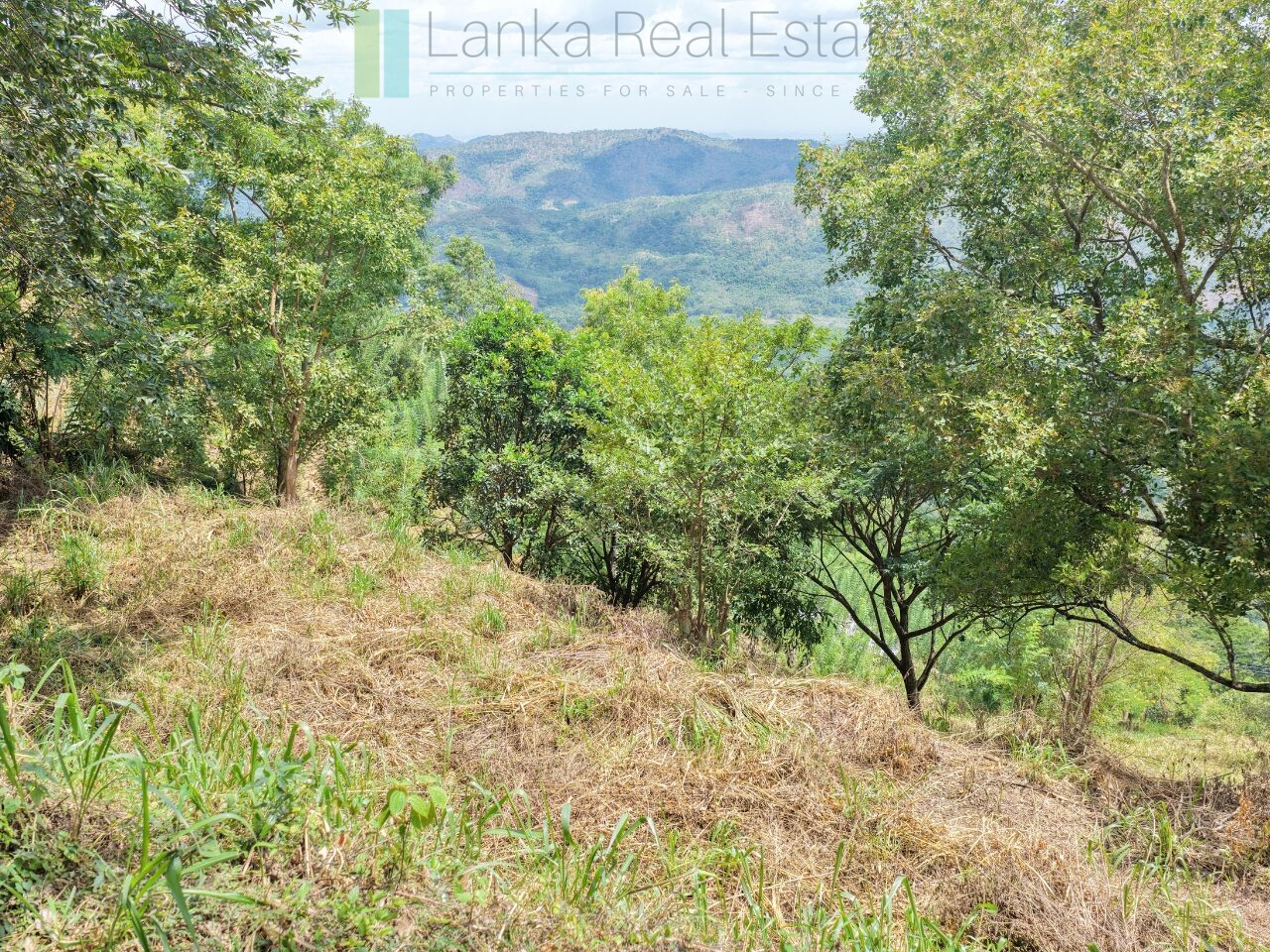 Hillside development plot with views near Beragala