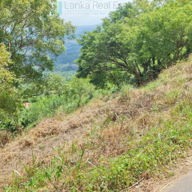 Hillside development plot with views near Beragala