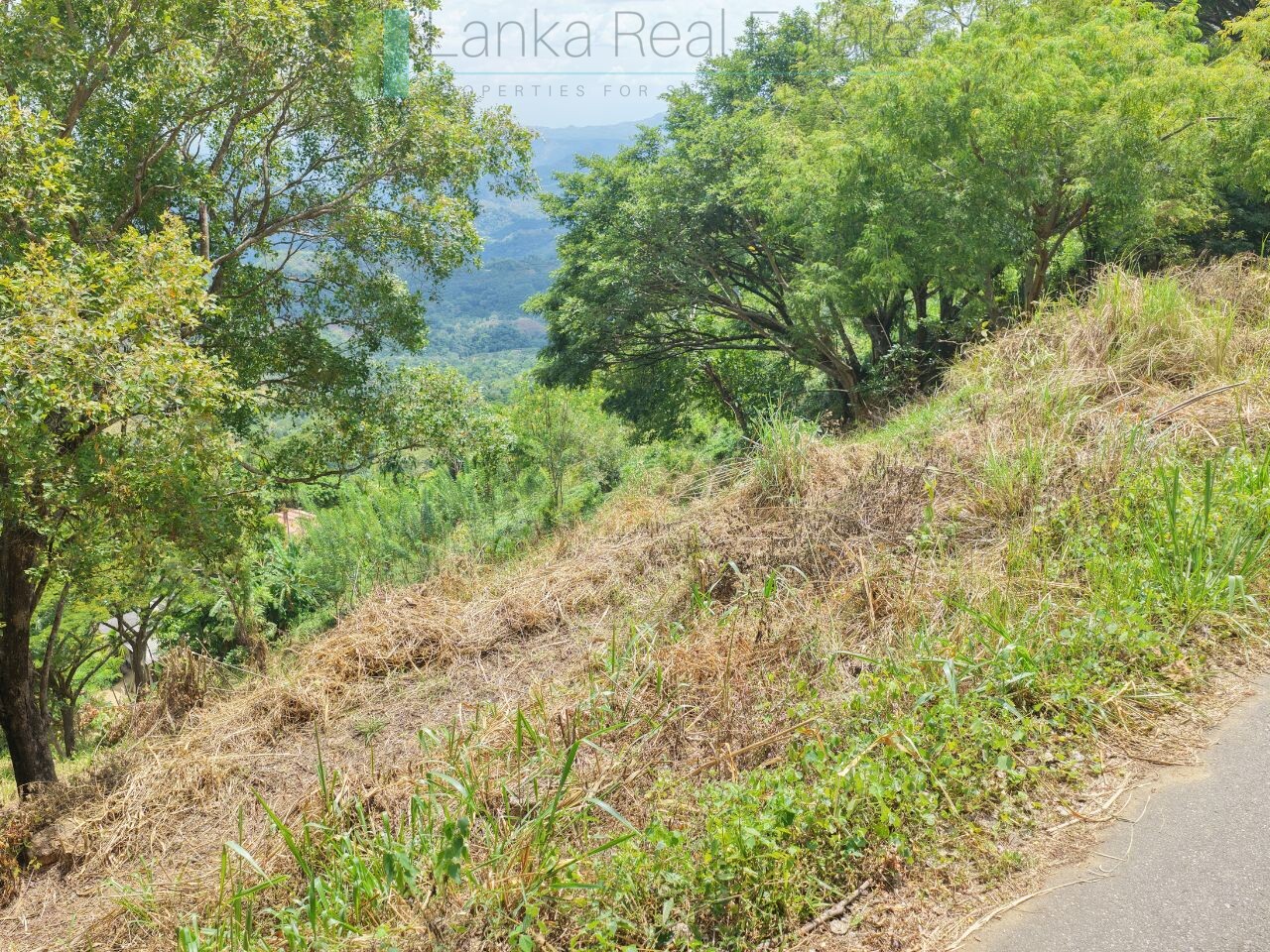 Hillside development plot with views near Beragala