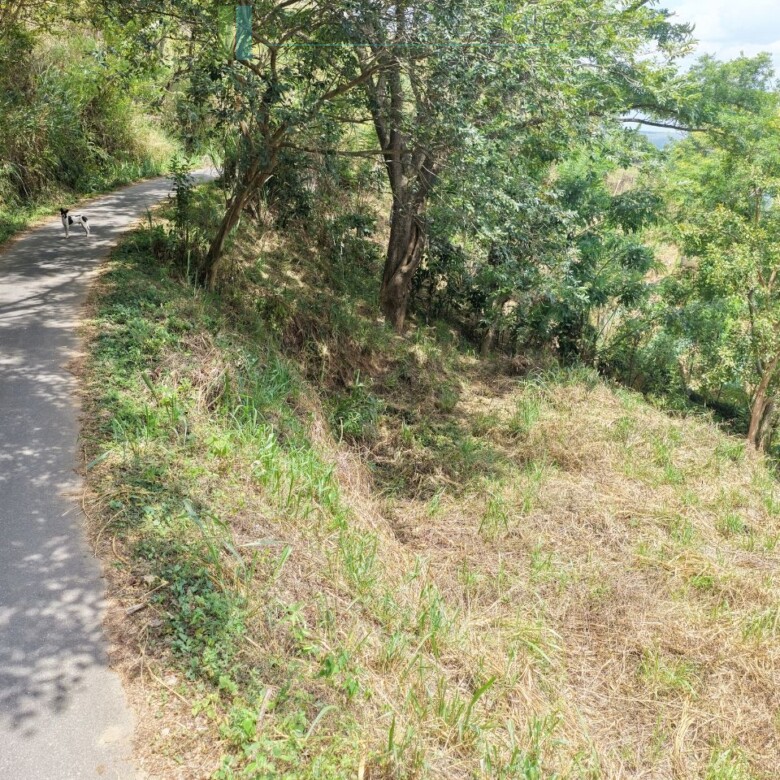 Hillside development plot with views near Beragala