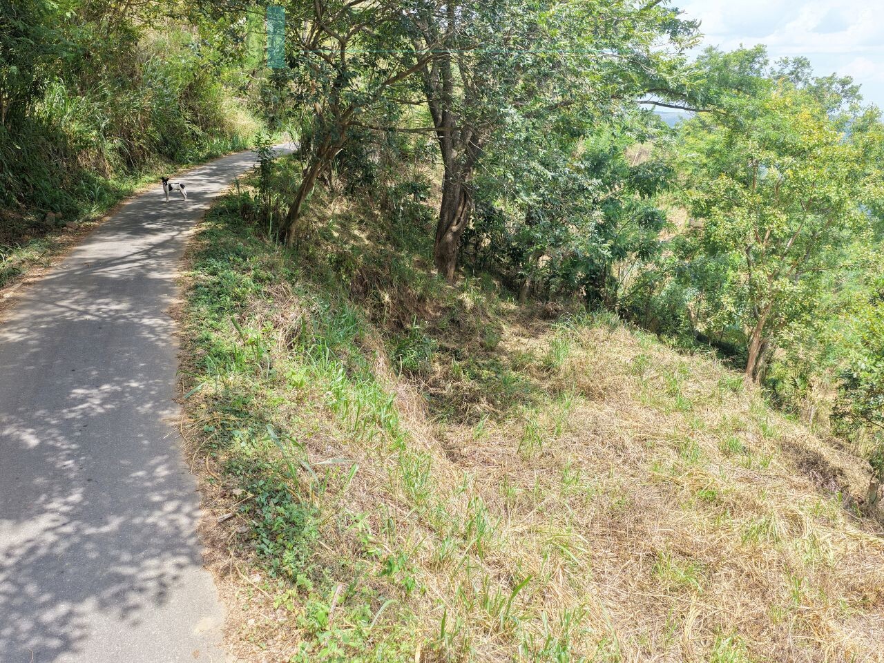 Hillside development plot with views near Beragala