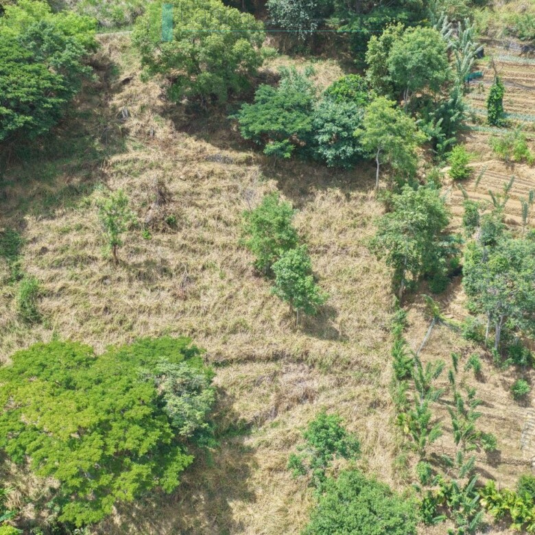 Hillside development plot with views near Beragala