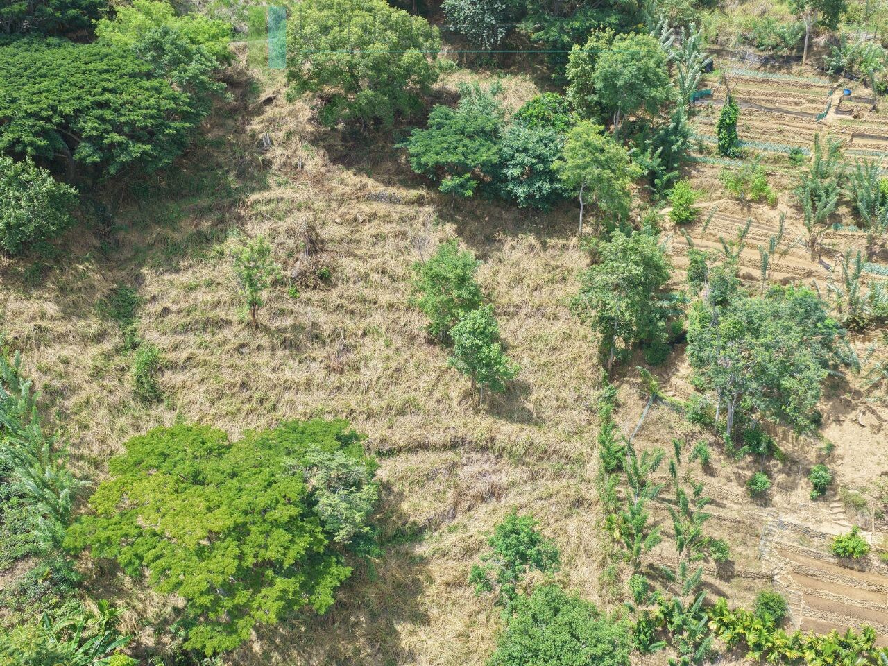 Hillside development plot with views near Beragala