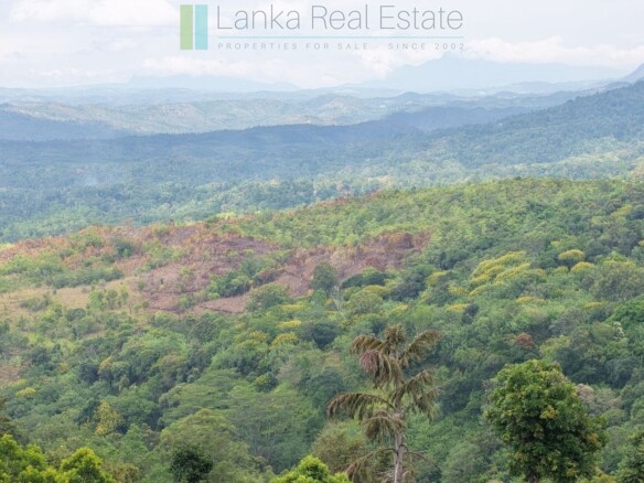 Sloping land with far-reaching views near Beragala