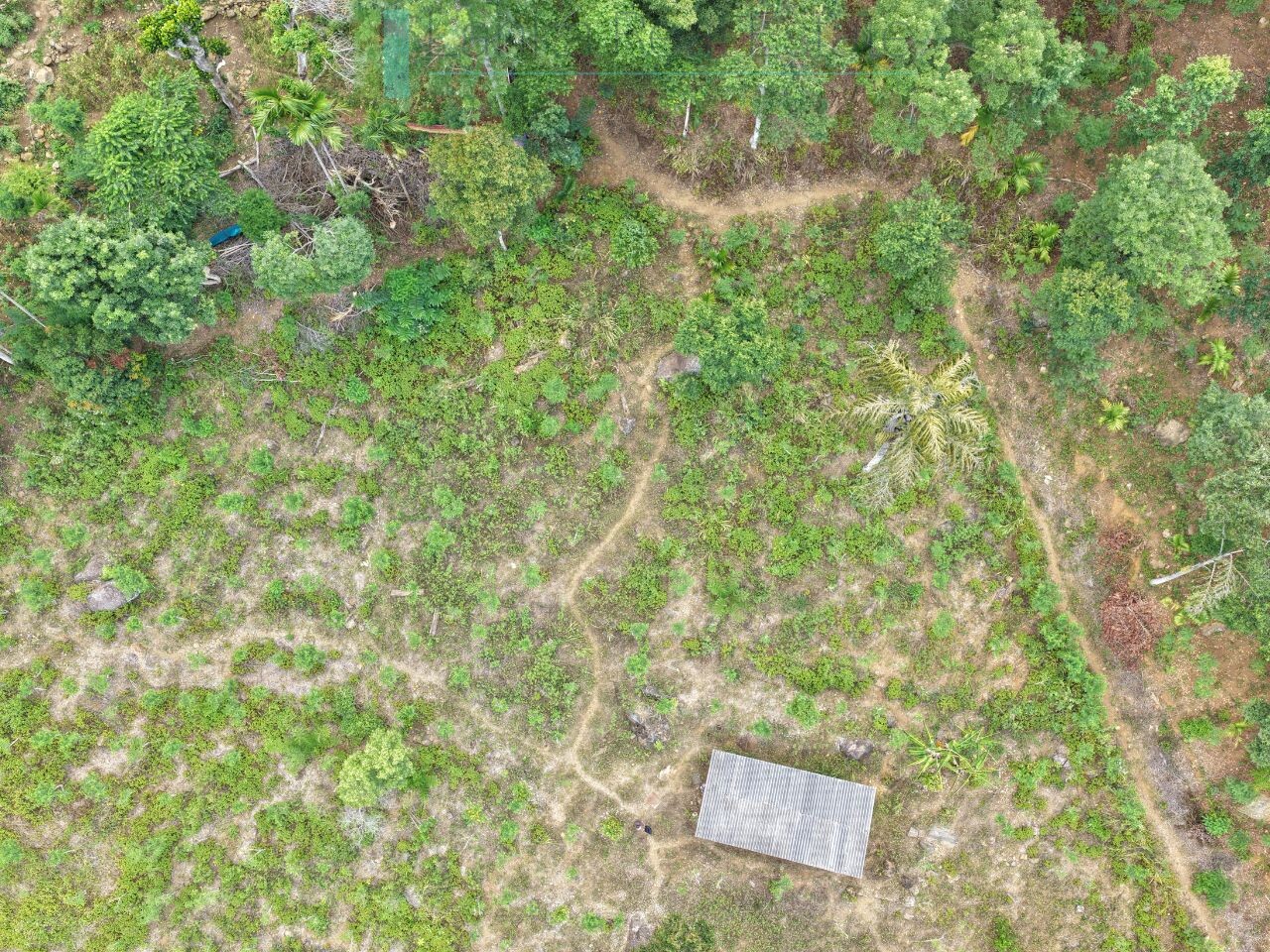 Sloping land with far-reaching views near Beragala