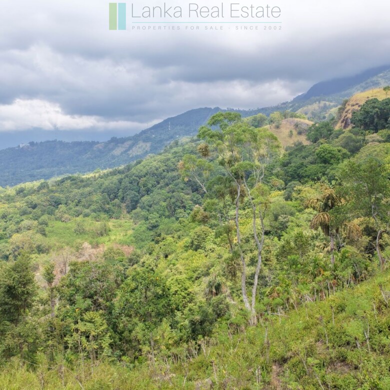 Sloping land with far-reaching views near Beragala
