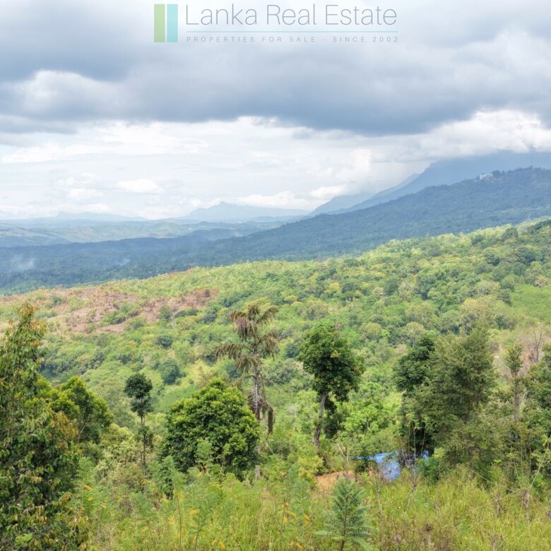 Sloping land with far-reaching views near Beragala