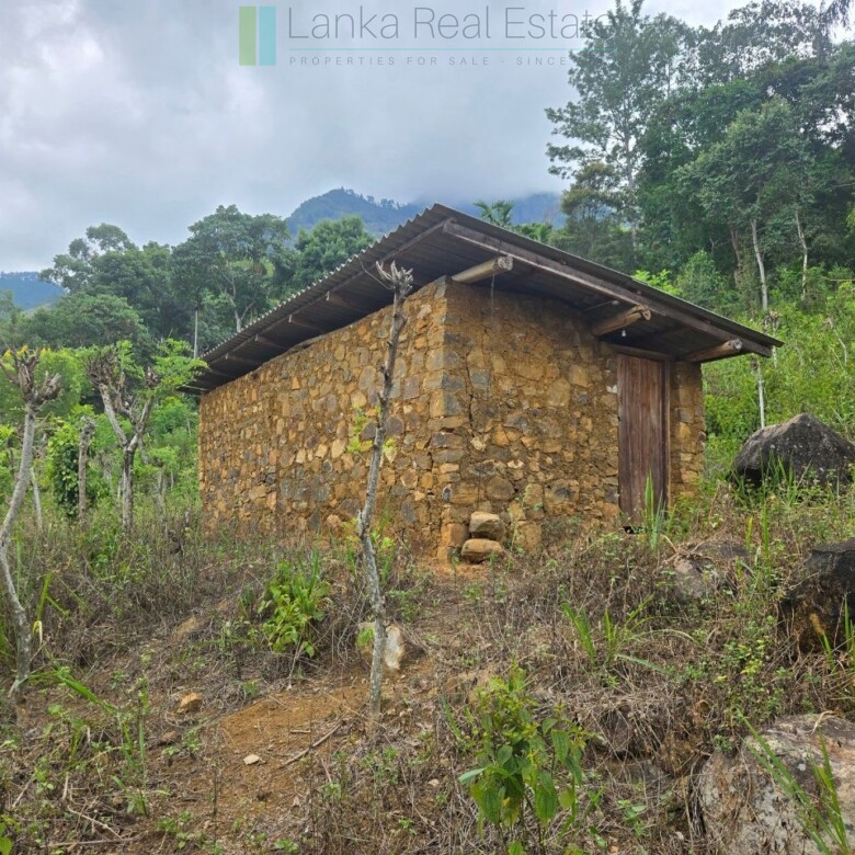 Sloping land with far-reaching views near Beragala