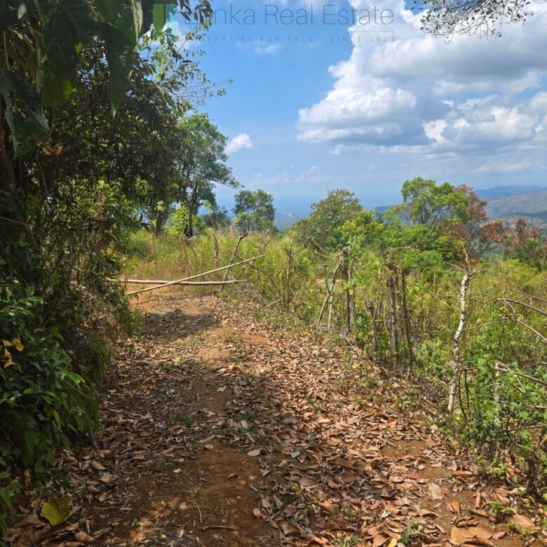 Sloping land with far-reaching views near Beragala