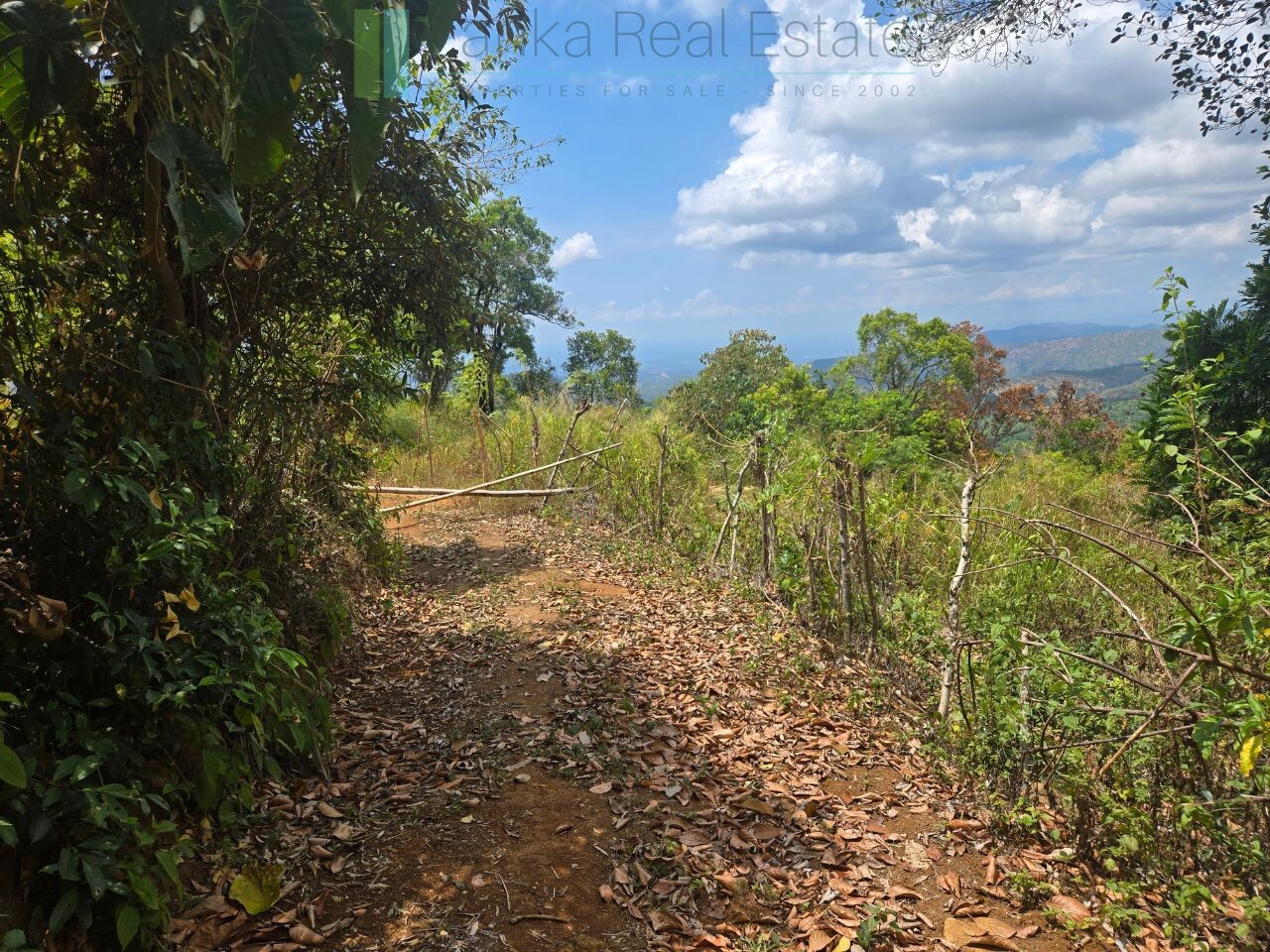Sloping land with far-reaching views near Beragala