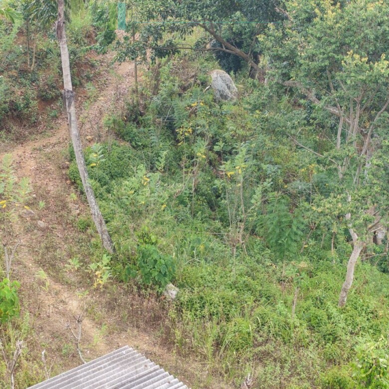 Sloping land with far-reaching views near Beragala