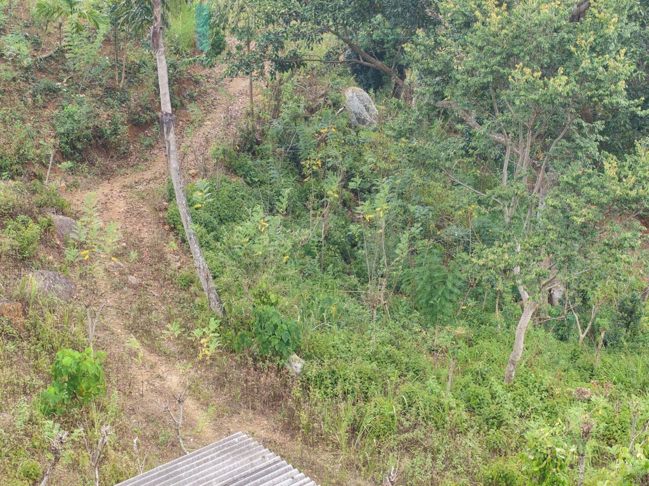 Sloping land with far-reaching views near Beragala