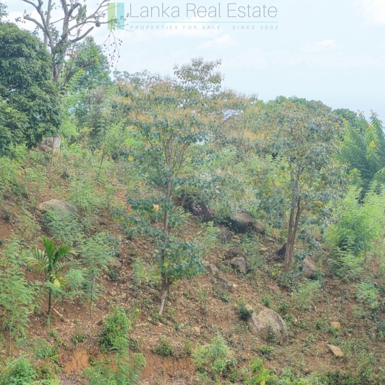 Sloping land with far-reaching views near Beragala