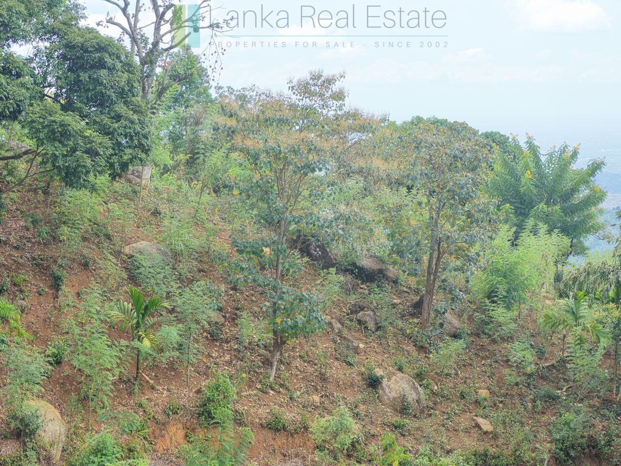 Sloping land with far-reaching views near Beragala