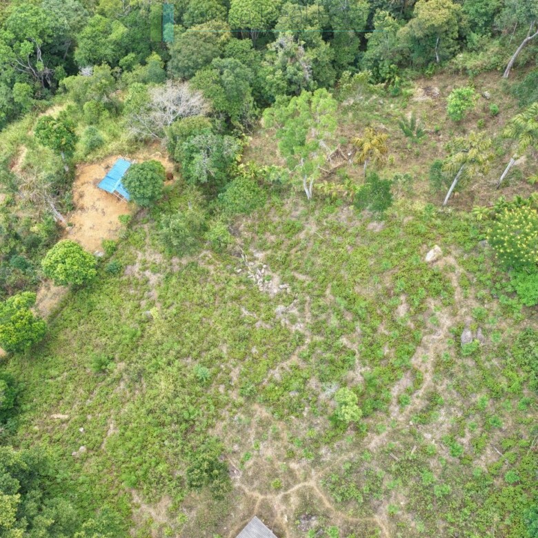 Sloping land with far-reaching views near Beragala