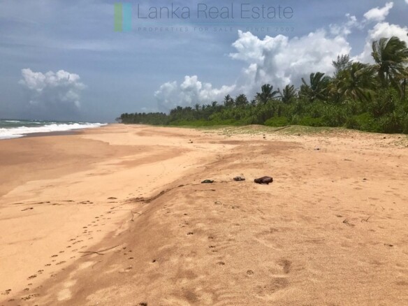 Palm-fringed beachfront development land in Ranna