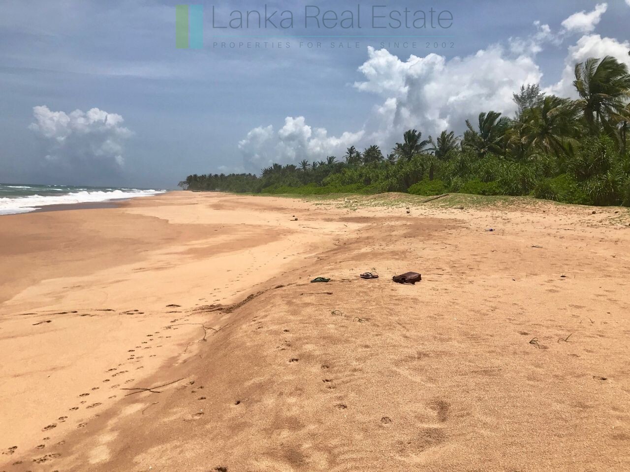 Palm-fringed beachfront development land in Ranna