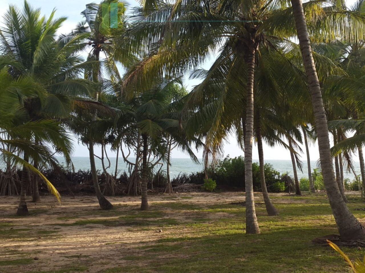 Palm-fringed beachfront development land in Ranna