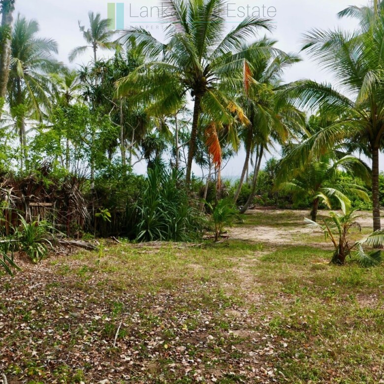 Palm-fringed beachfront development land in Ranna