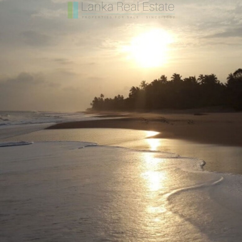 Palm-fringed beachfront development land in Ranna