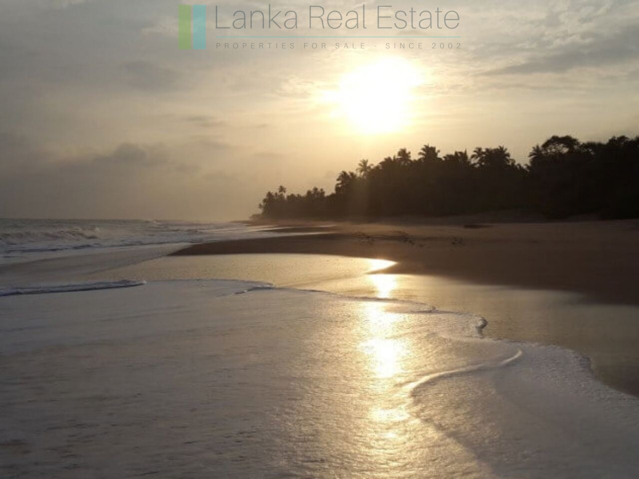 Palm-fringed beachfront development land in Ranna