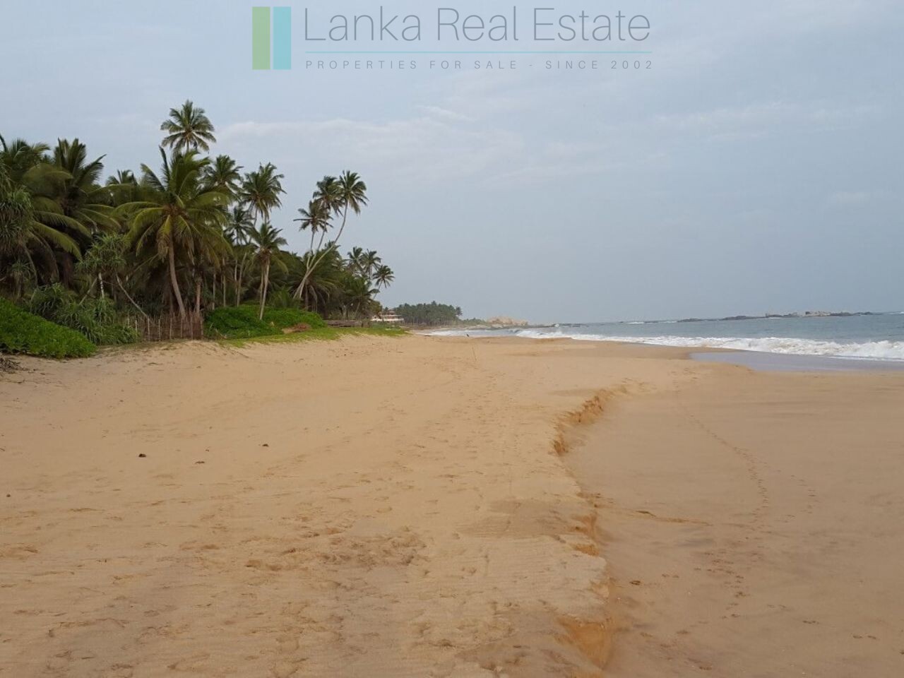 Palm-fringed beachfront development land in Ranna