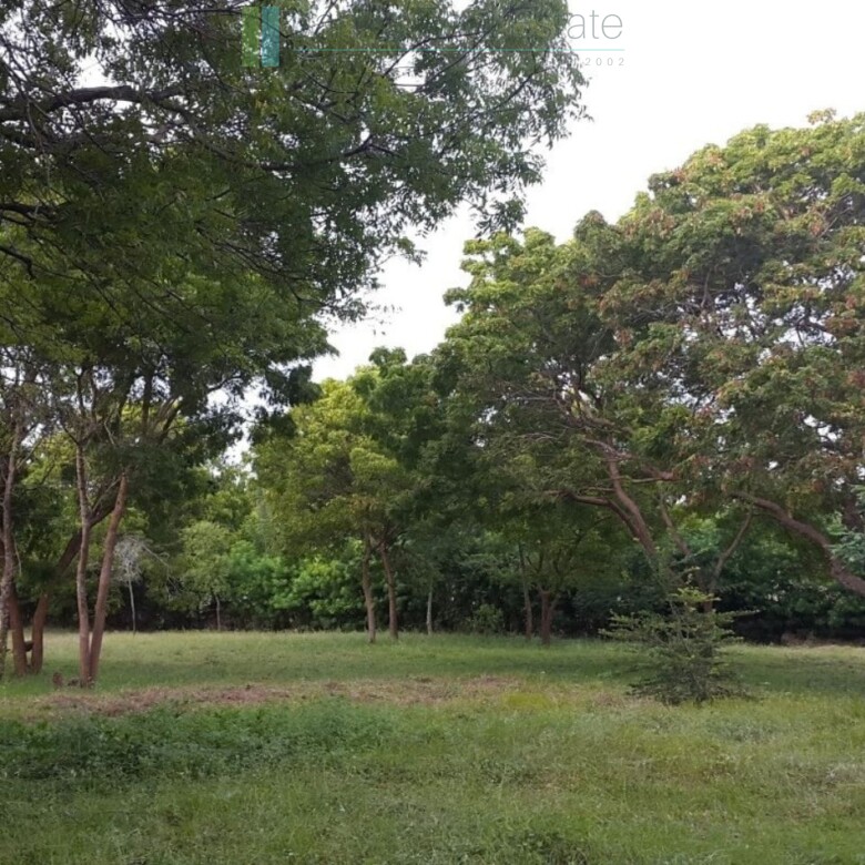 Palm-fringed beachfront development land in Ranna