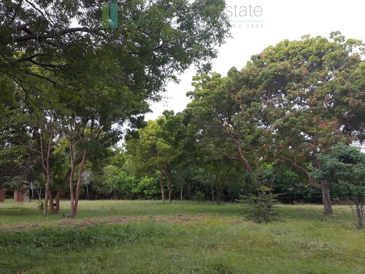 Palm-fringed beachfront development land in Ranna