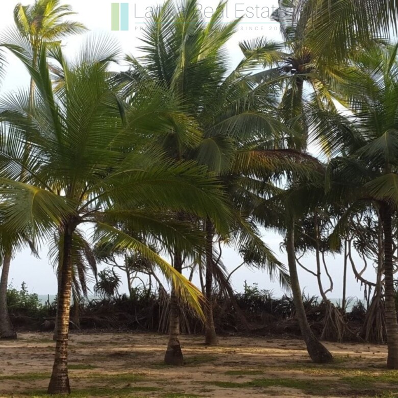 Palm-fringed beachfront development land in Ranna