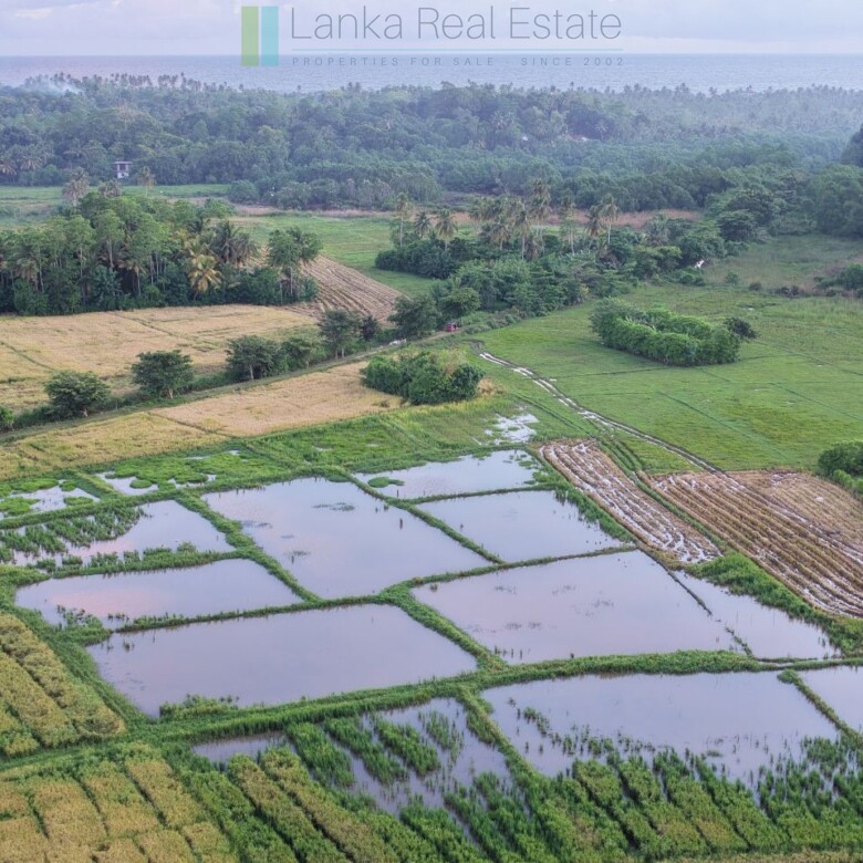 Elevated paddy view land near the coast in Midigama