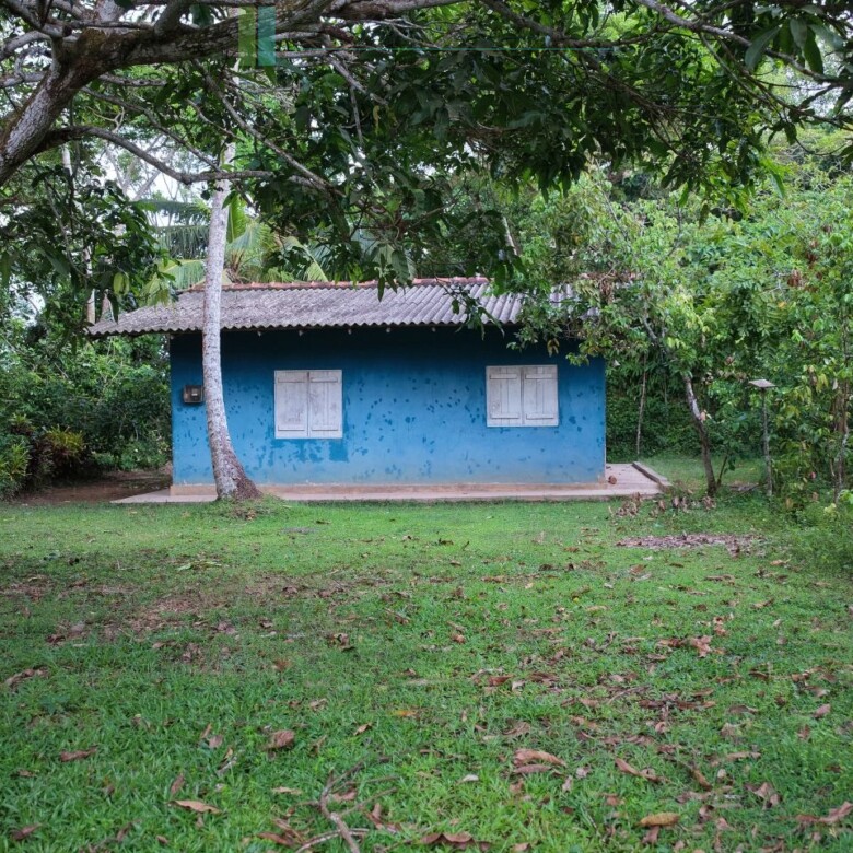 Elevated paddy view land near the coast in Midigama